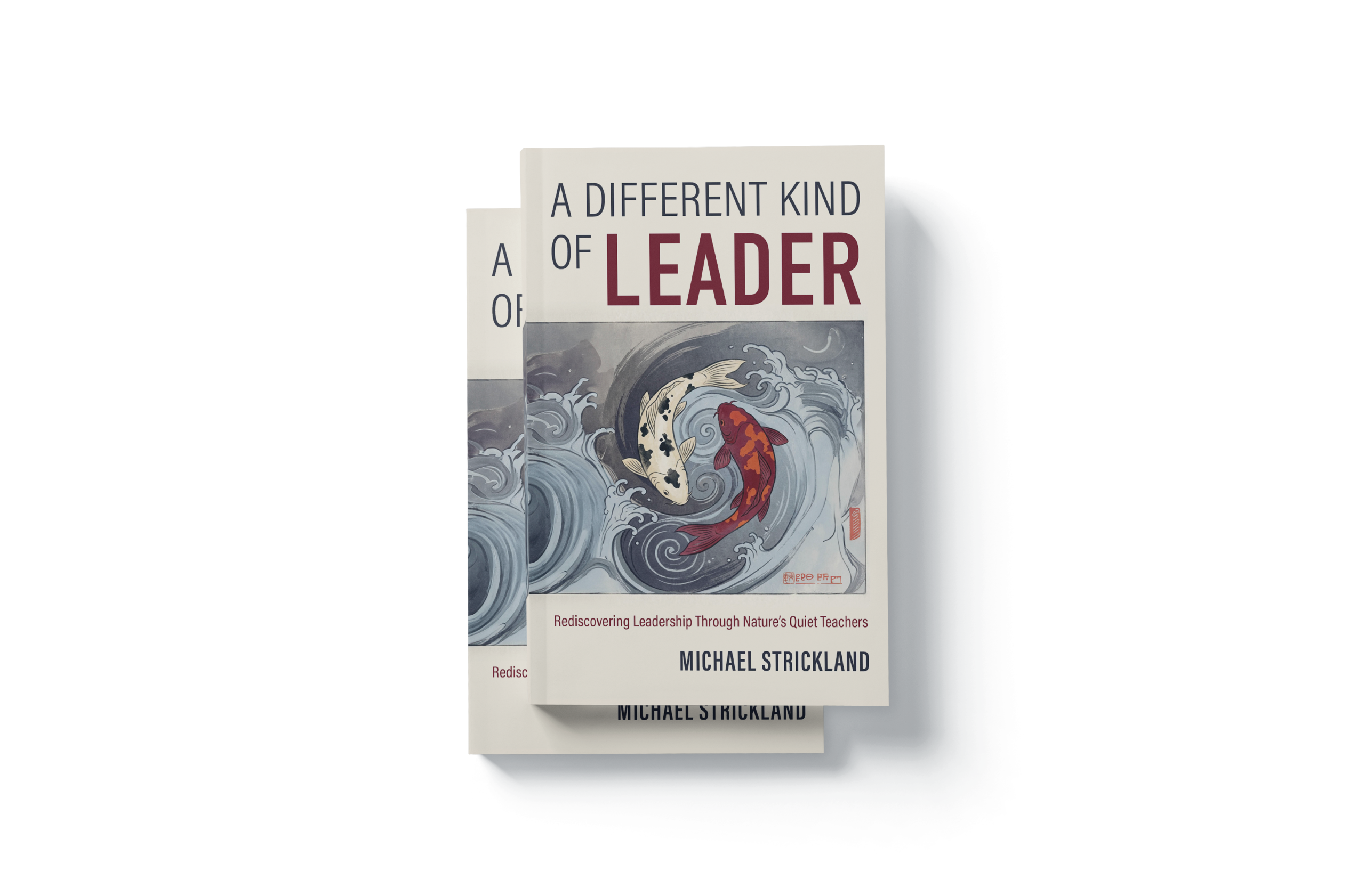 A Different Kind of Leader book